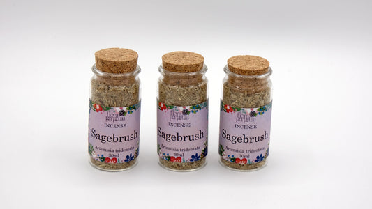 3 bottles of sagebrush (artemisia tridentata) in white background